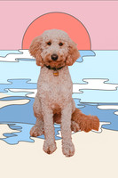 taffy_beach_illustration