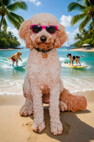 taffy_beach_sunglasses