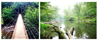 eno_river_state_park