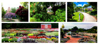 arboretum