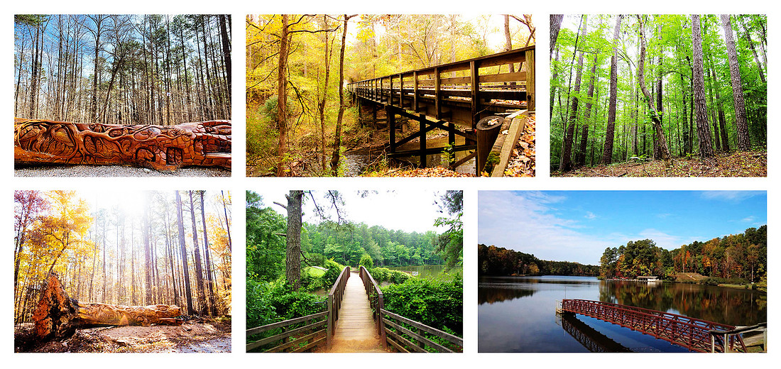 "Umstead Park", "Umstead Park Raleigh NC", "Raleigh NC Engagement Photos", "Raleigh NC Family Photos" 