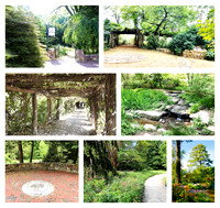 coker_arboretum_collage