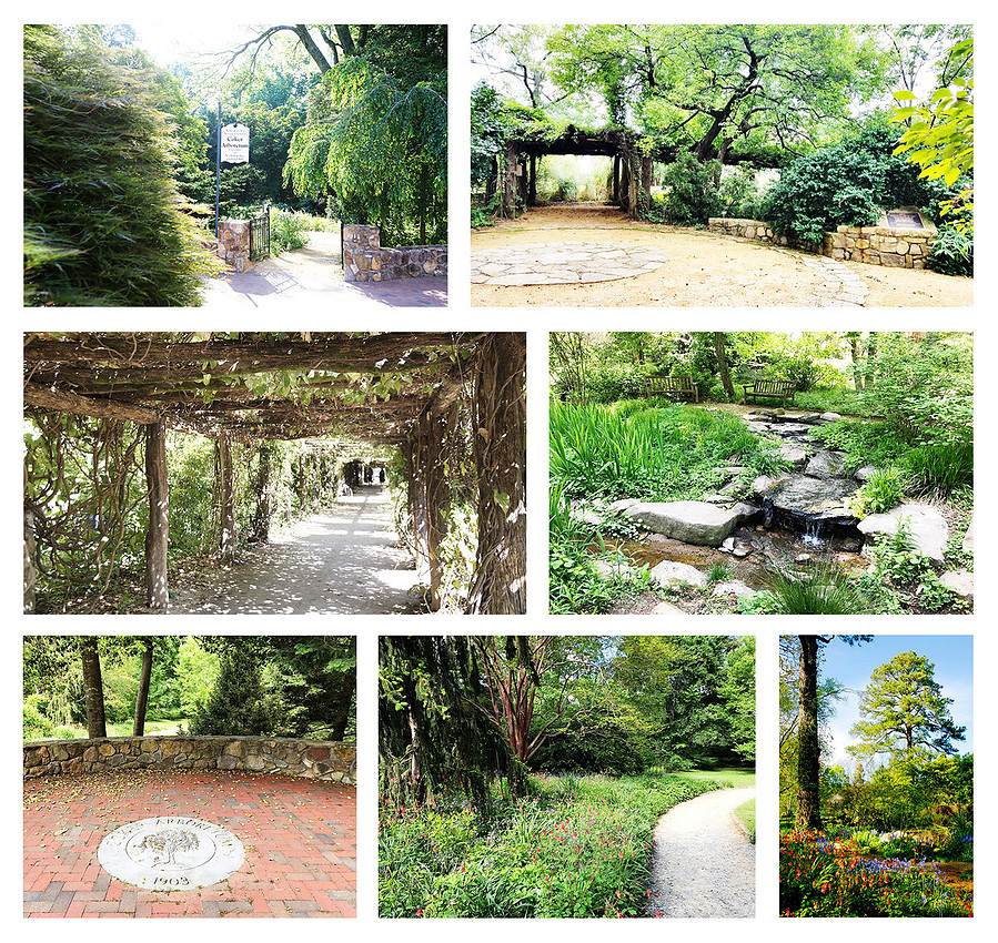 "Coker Arboretum", "Chapel Hill NC Engagement Photos", "Portrait Photos Chapel Hill NC"