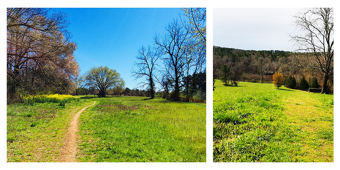 "Merritt's Pasture", "Morgan Creek Trail", "Chapel Hill Family Photos", "Chapel Hill Bridal Portraits", "Chapel Hill Engagement Photography"