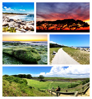 ff_collage