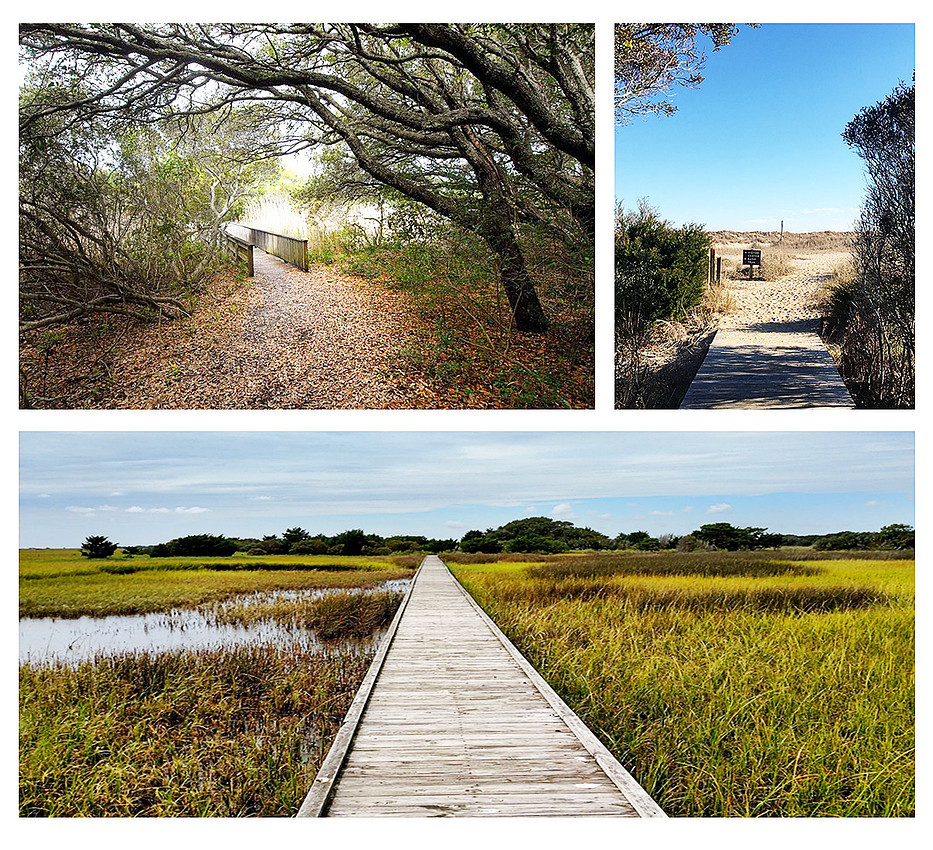 "Hermit Trail", "Fort Fisher", "Wilmington NC engagement photography", "Wilmington NC maternity photography", "Wilmington NC family photos"