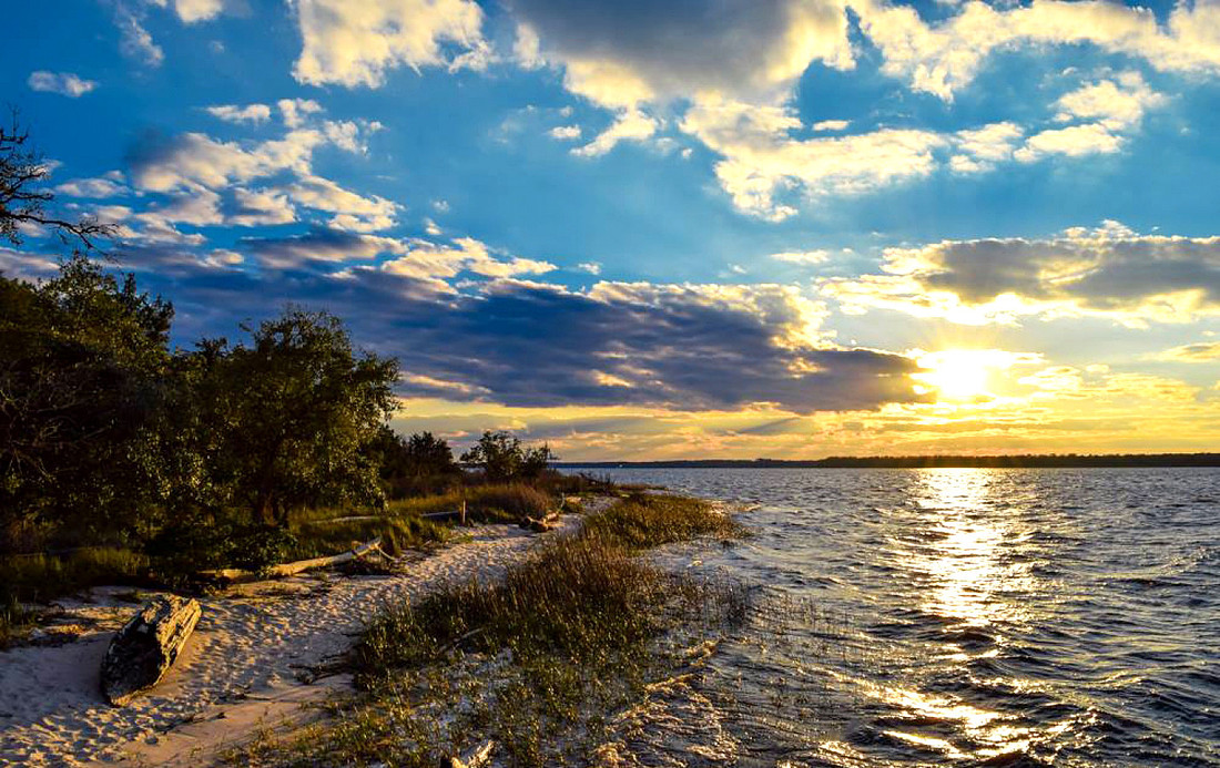 "Carolina Beach State Park", "Wilmington NC family photos", "engagement photos wilmington nc"