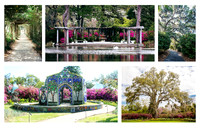 airlie_gardens