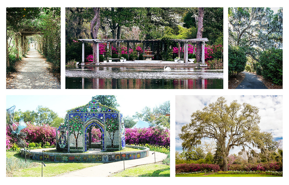 "Airlie Gardens", "wedding photography wilmington nc", "engagement photos wilmington nc"