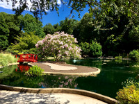 arboretum