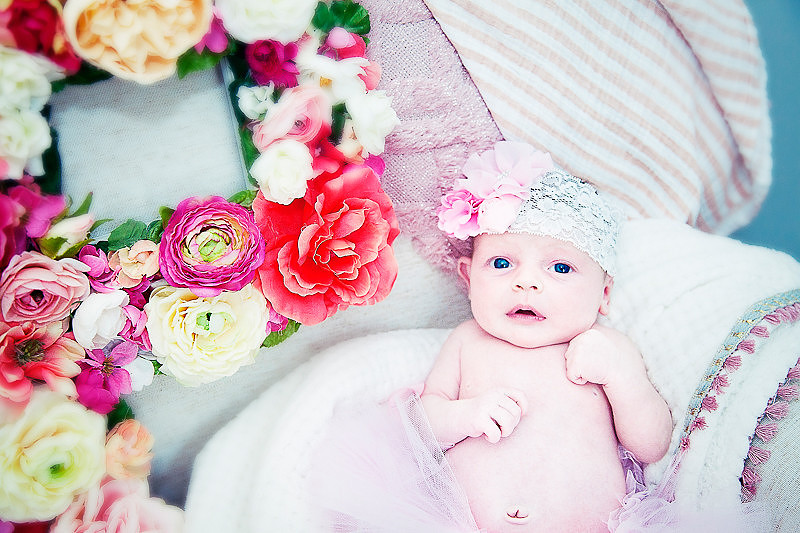 "durham maternity photographer" "maternity photos durham" "newborn photos durham" "durham newborn photographer" "wilmington maternity photographer" "maternity photos wilmington" "newborn photos wilmin