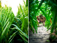 "durham photographer," "photographer durham", "nc photographer", "nc travel photography", "nc photojournalist", "nc freelance photographer", "freelance photographer durham", "bath nc", "lifestyle phot