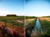 "durham photographer," "photographer durham", "nc photographer", "nc travel photography", "nc photojournalist", "nc freelance photographer", "freelance photographer durham", "bath nc", "lifestyle phot